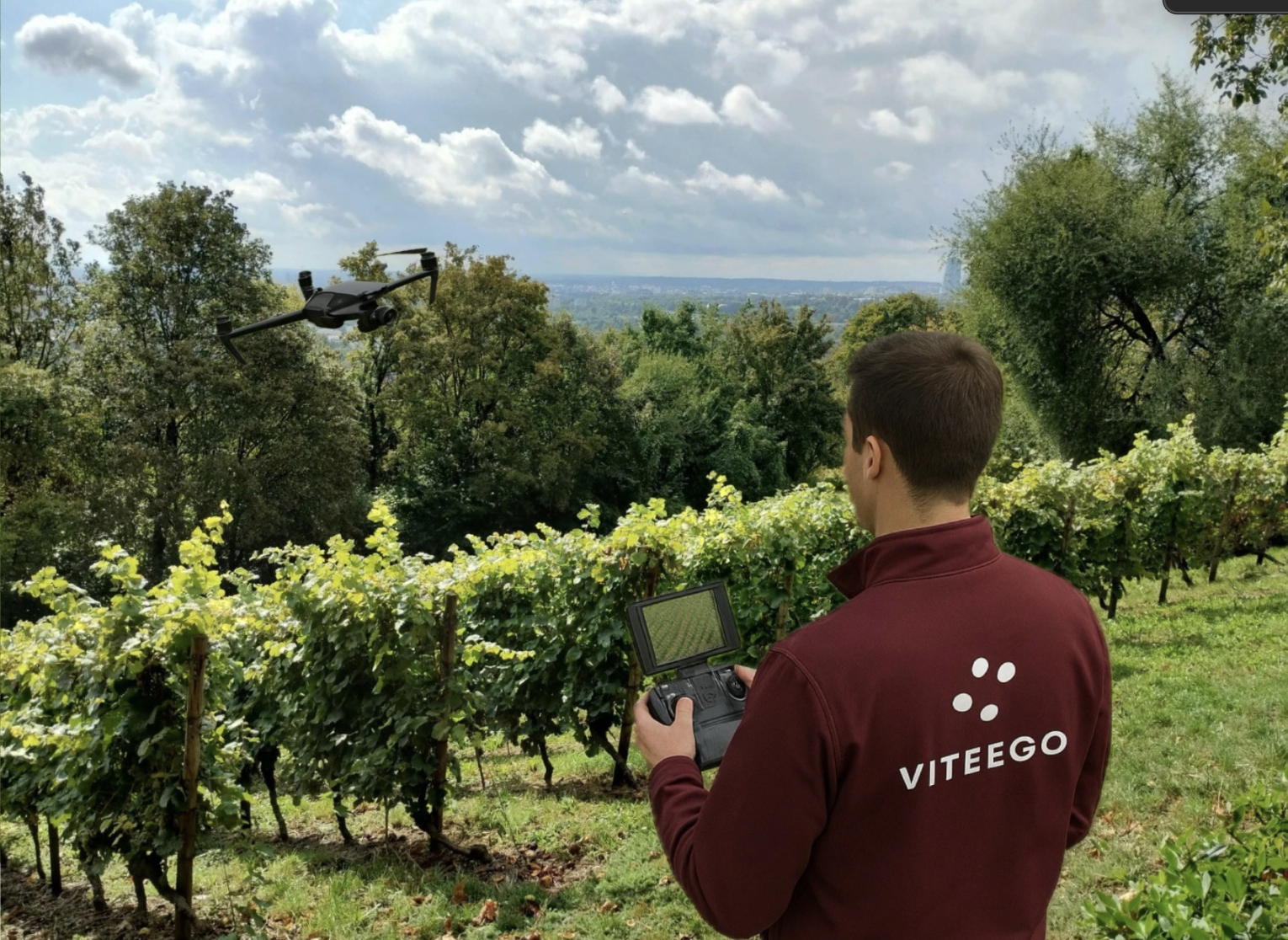 Arpentage des parcelles