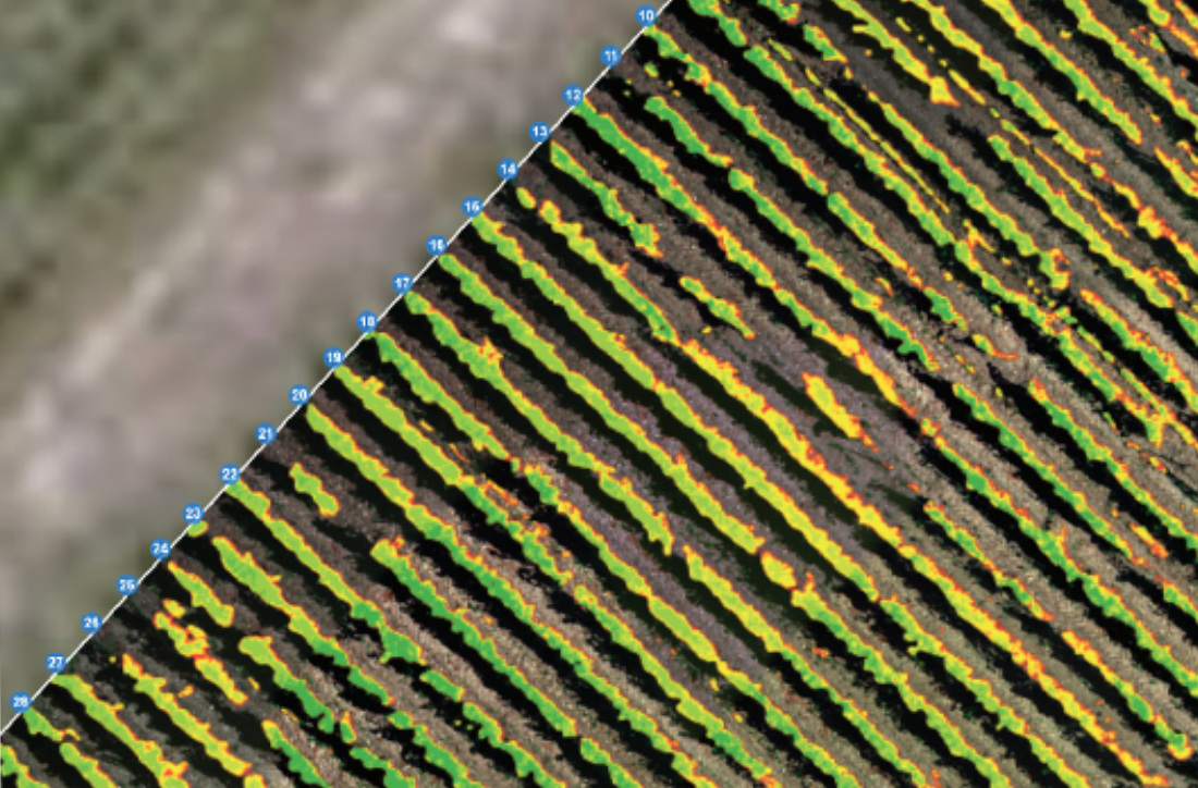 Inventaire des parcelles