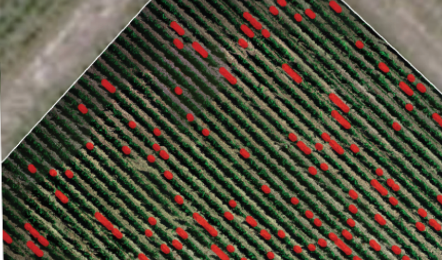 Inventaire des parcelles